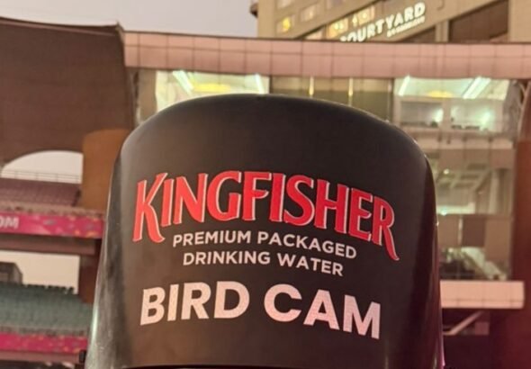 WhatsApp Image 2026-01-29 at 2.31.04 PM